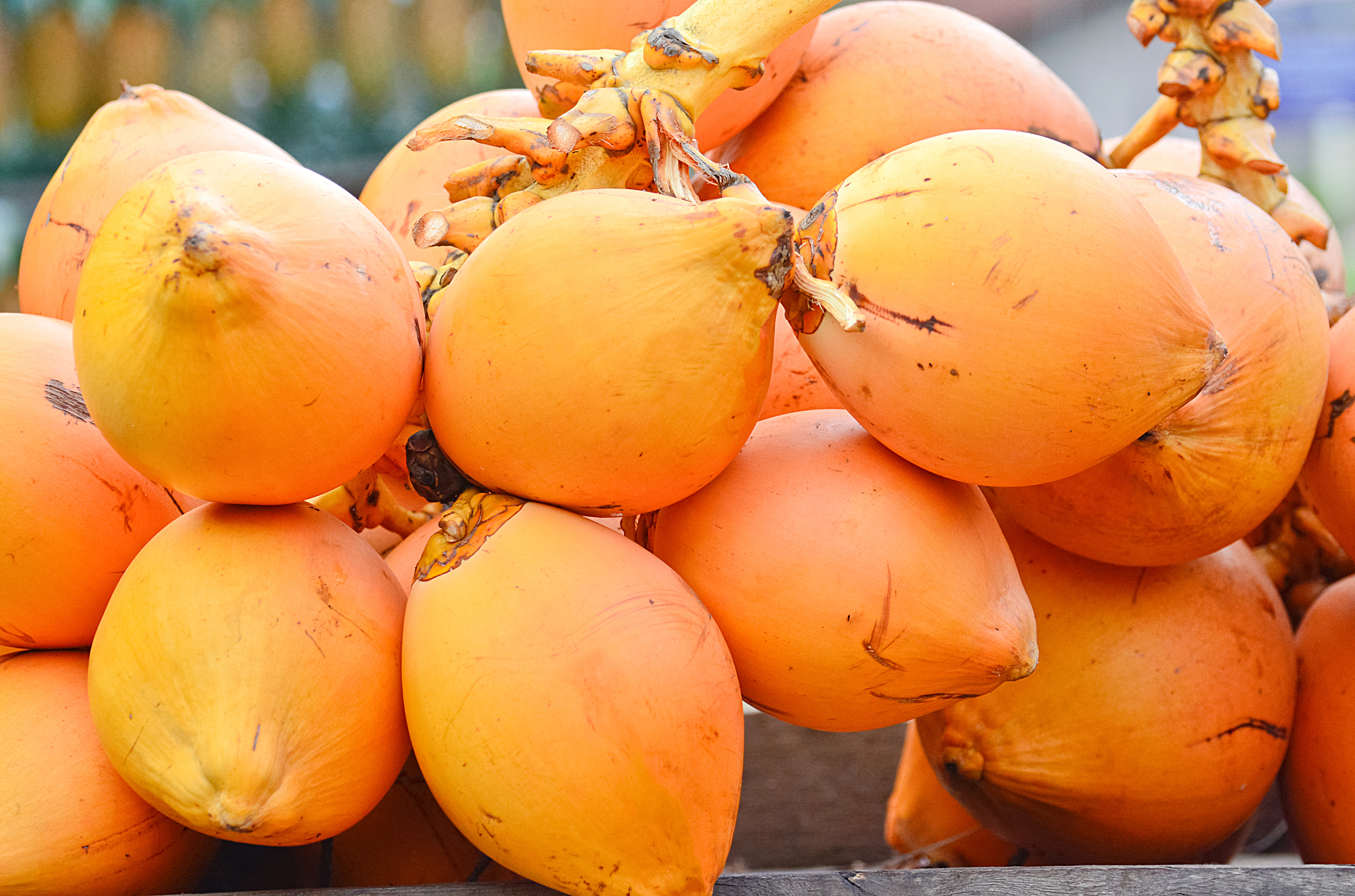 King Coconut Known as Red Dwarf MyExoticFruit The UK s